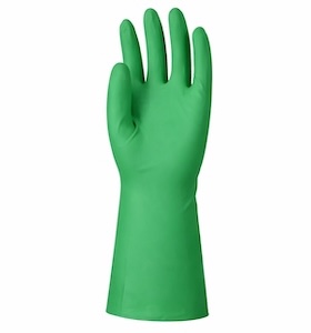 Daisy on the Ohoopee